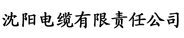 香港内部马料2021年全部资料电缆厂logo